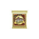 ERNIE BALL ( アーニー・ボール ) / MEDIUM EARTHWOOD 80/20 BRONZE ACOUSTIC GUITAR STRINGS ...