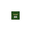 OPTIMA ( オプティマ ) / 1747CL ACOUSTIC GUITAR 24K GOLD夏休みセール