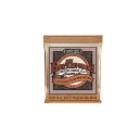 ERNIE BALL ( アーニー・ボール ) / EARTHWOOD 12-STRING CUSTOM LIGHT PHOSPHOR BRONZE夏休みセール