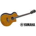 YAMAHA ( ヤマハ ) / APX600FM AM夏休みセール