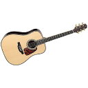 TAKAMINE ( タカミネ ) / SA200 N夏休みセール