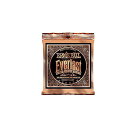 ERNIE BALL ( アーニー・ボール ) / EVERLAST COATED PHOSPHOR MEDIUM LIGHT夏休みセール