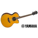 YAMAHA ( ヤマハ ) / CPX600 VT夏休みセール
