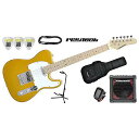 PLAYTECH ( プレイテック ) / TL250ギター入門セットMaple Gold夏休みセール