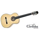 CORDOBA ( コルドバ ) / F7夏休みセール