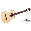 CORDOBA ( コルドバ ) / GK Studio Limited夏休みセール