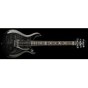 Paul Reed Smith (PRS) ( ポールリードスミス )...(2)
