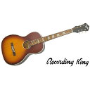 RECORDING KING ( レコーディングキング ) / RPS7 Tobacco Sunburst シングルオータイプ夏休みセール
