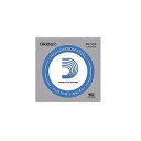 DADDARIO ( ダダリオ ) / PL024 Single Plain Steel 024夏休みセール
