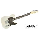 SCHECTER ( シェクター ) / PA-LS/TK夏休みセール
