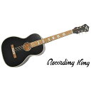 RECORDING KING ( レコーディングキング ) / RPS7 Matte Black シングルオータイプ夏休みセール(2)