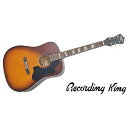 RECORDING KING ( レコーディングキング ) / RDS7 Tobacco Sunburst ドレッドノートタイプ夏休みセール