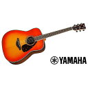 YAMAHA ( ヤマハ ) / FG830 Autumn Burst アコースティックギター夏休みセール