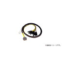 AVID ( アビッド ) / DB25-XLR M+F AES/EBU DigiSnake 12ハロウィーンセール/ハロウィングッズ