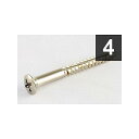 ALLPARTS ( オールパーツ ) / GS-0039-001 Pack of 4 Tremolo Claw Screws夏休みセール