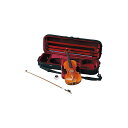 YAMAHA ( ヤマハ ) / Braviol VIOLIN SET V20SG 4/4夏休みセール