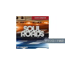 TOONTRACK ( トゥーントラック ) / EKX - SOUL ROADS ダウンロード納品夏休みセール