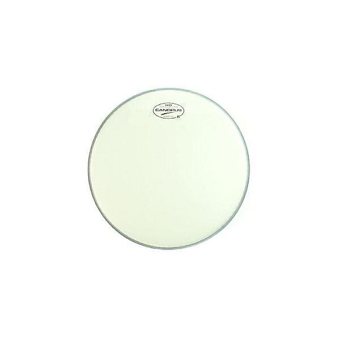 CANOPUS ( カノウプス ) / CB10Hハロウィーンセール/ハロウィングッズ