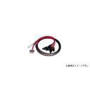 AVID ( アビッド ) / DB25-XLRM DigiSnake 12ハロウィーンセール/ハロウィングッズ