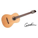 GODIN GUITAR ( ゴダンギター ) / ETUDE LEFT夏休みセール