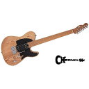 CHARVEL ( シャーベル ) / PRO-MOD SO-CAL STYLE 2 24 HH 2PT CM ASH夏休みセール