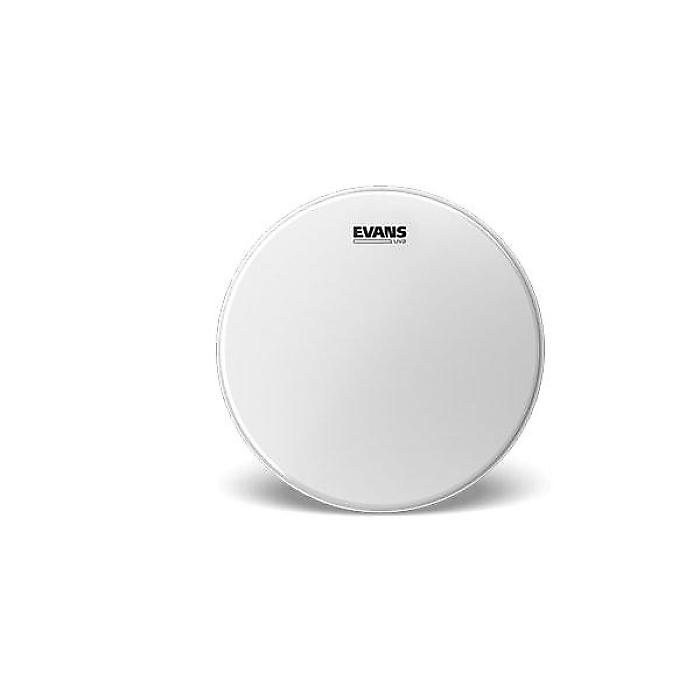 EVANS ( エバンス ) / B08UV2　UV2コーテッド　8インチ夏休スペシャル