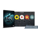 Native Instruments ( ネイティブインストゥルメンツ ) / Flesh ダウンロード納品夏休みセール