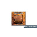 BEST SERVICE ( ベストサービス ) / EPIC WORLD ダウンロード納品ハロウィーンセール/ハロウィングッズ