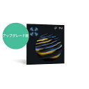iZotope ( アイゾトープ ) / RX 11 Advanced UPG from 旧RX Standard パッケージ版ハロウィーンセール/ハロウィング...