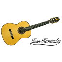 Juan Hernandez ( ホアン・エルナンデス ) / Maestro夏休みセール