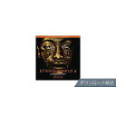 BEST SERVICE ( ベストサービス ) / ETHNO WORLD 6 VOICES ダウンロード納品ハロウィーンセール/ハロウィングッズ