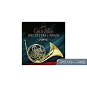 BEST SERVICE ( ベストサービス ) / CHRIS HEIN ORCHESTRAL BRASS COMPACT ダウンロード納品ハロウィーンセール...