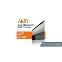 Nugen Audio ( ヌジェンオーディオ ) / AMB MXF Module ダウンロード納品ハロウィーンセール/ハロウィングッズ