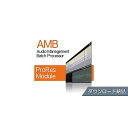 Nugen Audio ( ヌジェンオーディオ ) / AMB ProRes Module ダウンロード納品ハロウィーンセール/ハロウィングッズ