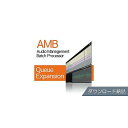 Nugen Audio ( ヌジェンオーディオ ) / AMB Queue Expansion ダウンロード納品ハロウィーンセール/ハロウィングッズ
