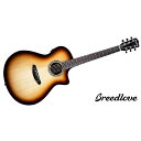 BREEDLOVE ( ブリードラブ ) / Artista Pro Concerto Burnt Amber CE夏休みセール