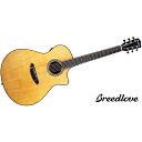 BREEDLOVE ( ブリードラブ ) / Performer Pro Concert Aged Toner CE夏休みセール