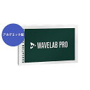 STEINBERG ( スタインバーグ ) / WaveLab Pro 12 アカデミック版 ※申込書/証明書必要夏休みセール