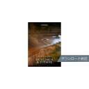 Cinesamples ( シネサンプルズ ) / World Series Dulcimer & Zither ダウンロード納品ハロウィーンセール/ハロウィン...