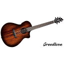 BREEDLOVE ( ブリードラブ ) / Wildwood Pro Concert Suede CE夏休みセール