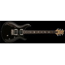 Paul Reed Smith (PRS) ( ポールリードスミス )...(2)