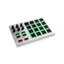ESI ( イーエスアイ ) / Xjam - USB MIDIパッドコントローラーハロウィーンセール/ハロウィングッズ