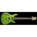 Paul Reed Smith (PRS) ( ポールリードスミス )...(2)
