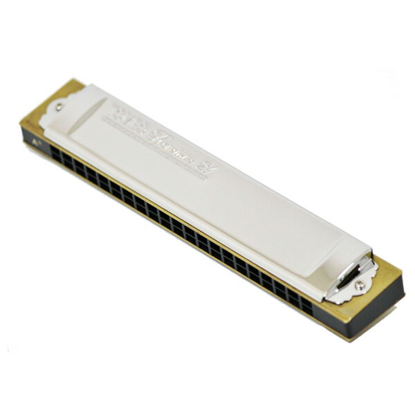 TOMBO(トンボ) / No.3521(F#) プレミアム21 -複音ハーモニカ21穴-ハロウィーンセール/ハロウィングッズ