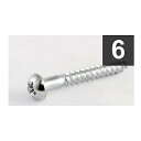 ALLPARTS ( オールパーツ ) / GS-3013-010 Pack of 6 Hardened Steel Tremolo Mounting Screws夏休みセール
