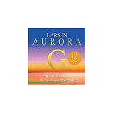 Larsen Strings ( ラーセン ) / Aurora バイオリン弦 G線 1/2 Medium夏休みセール