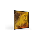 PIRASTRO ( ピラストロ ) / Evah Pirazzi Gold ビオラ弦 セット 425021夏休スペシャル