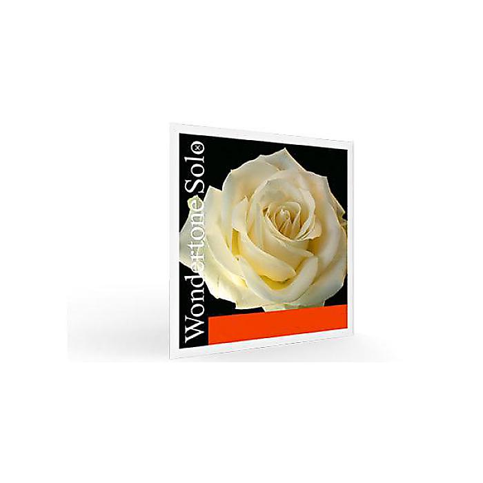 PIRASTRO ( ピラストロ ) / Wondertone Solo バイオリン弦 E線 0.26mm 4/4 ループエンドハロウィーンセール/ハロウィングッズ