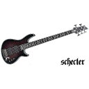 SCHECTER ( シェクター ) / HELLRAISER EXTREME-5 CRBS夏休みセール