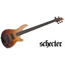 SCHECTER ( シェクター ) / SLS Elite-5 Antique Fade Burst夏休みセール